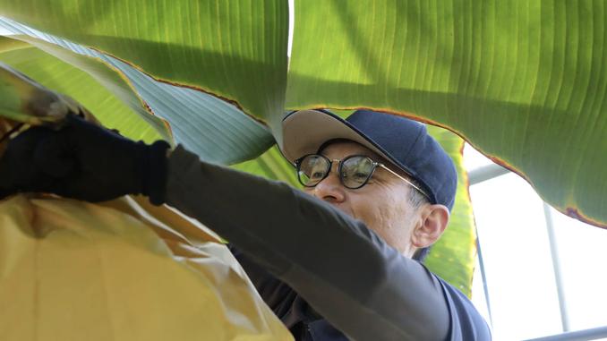 生産者の高浪 洋さん(兄)