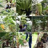 生産者へ､ご感想をInstagramからコメントください。