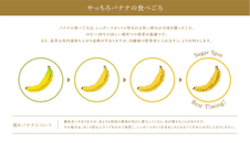 やっちろ汐バナナの食べごろ