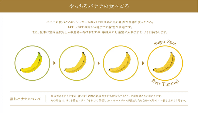 やっちろ汐バナナの食べごろ