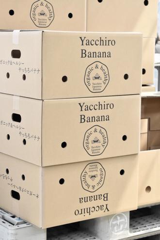 出荷されるやっちろ汐バナナ