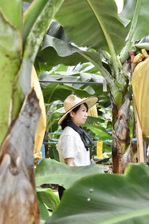 徹底した無農薬のアプローチ