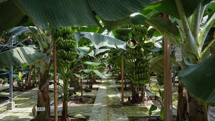 株式会社熊本青果物出荷組合は、1992年(平成4年)に個人で創業