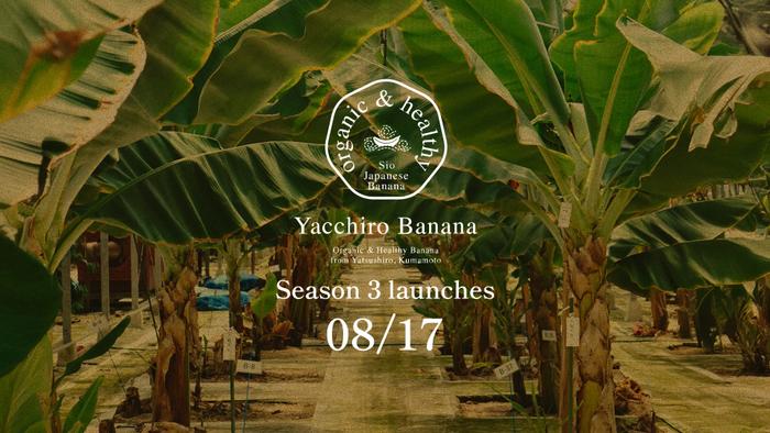 8月17日より、第3期「汐バナナ」の発売を開始いたします