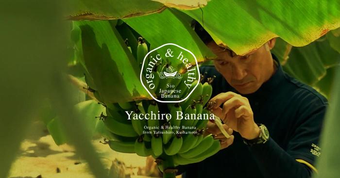 8月17日より､第3期｢汐バナナ｣の発売を開始いたします