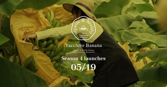 5月19日より､第4期｢汐バナナ｣の発売を開始いたします