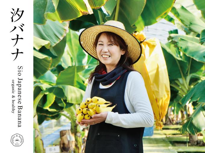 リピーター様におすすめ！国産高級無農薬 やっちろ汐バナナ10本セット