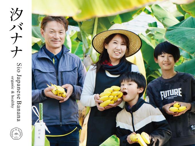 バナナ愛好家さまにおすすめ！国産高級無農薬 やっちろ汐バナナ20本セット