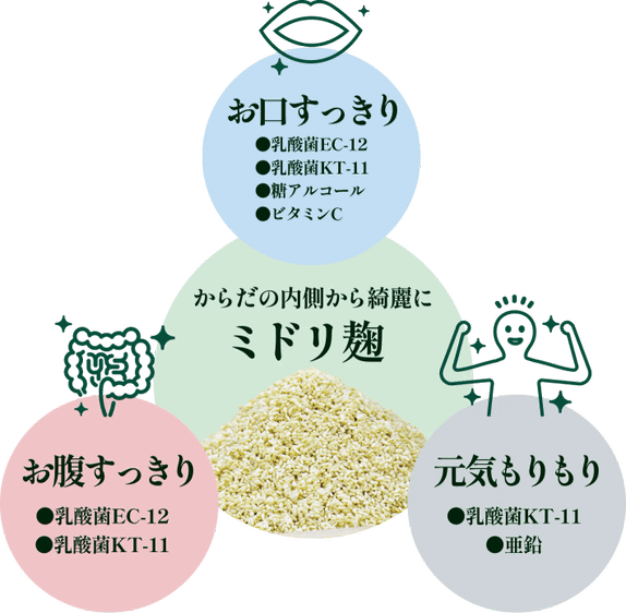 ユーグレナ米麹末(ミドリ麹)で「お口すっきり・お腹すっきり・元気もりもり」にアプローチ!