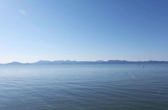 身体と美容に嬉しい､自然の恵み