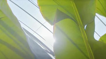 無農薬・もったいないへの取り組み