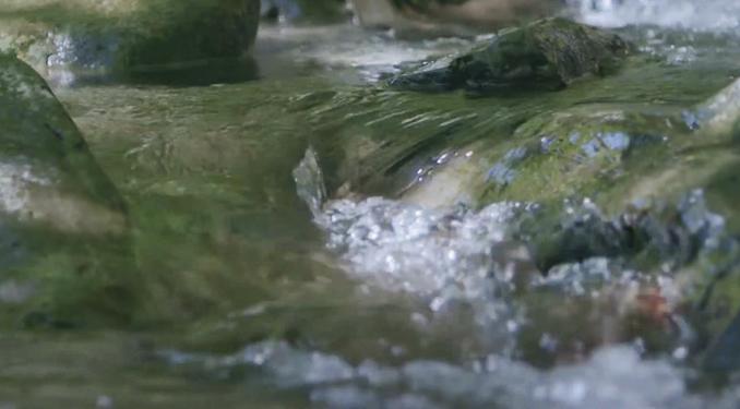 土壌の健康を維持し､水資源の汚染を防ぐことに直接貢献しています