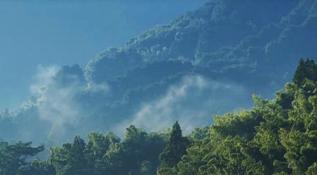汐風に吹かれた土壌はミネラル豊富で、干拓地特有