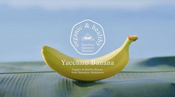 自然の恵みを丸ごと！やっちろ汐バナナは皮ごと食べれるバナナ