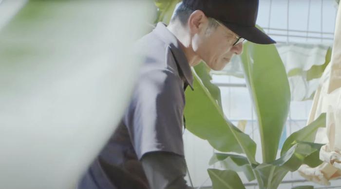 やっちろ汐バナナの 生産者だより