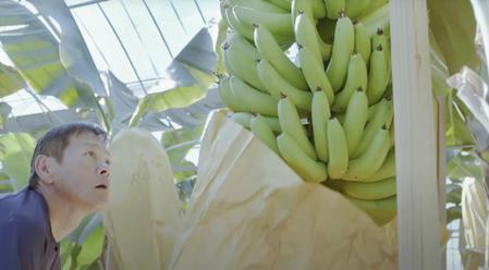 無農薬栽培により丁寧に育て上げます